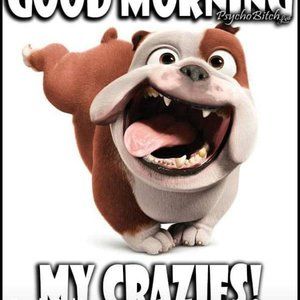 Meet your Posher, Leonard